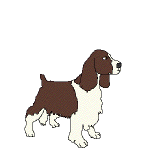 englishspringerspaniel.gif